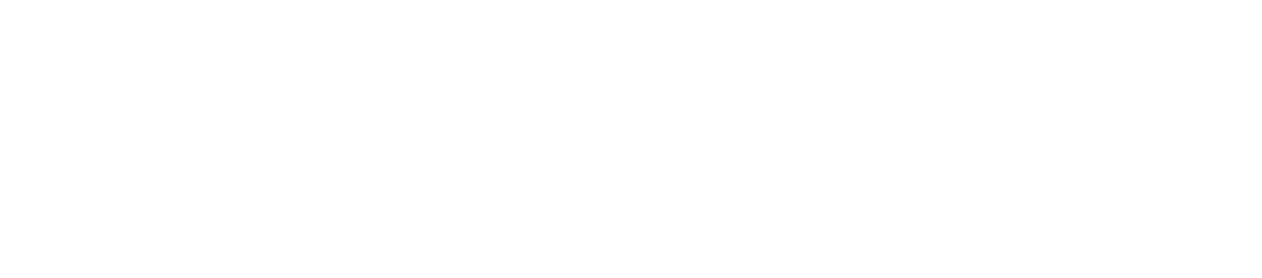 FLM_light